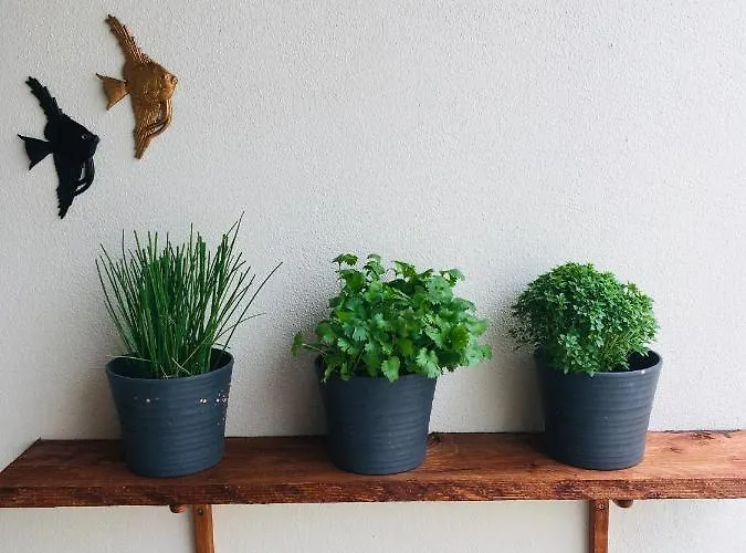 בית הארחה Pillows 3*